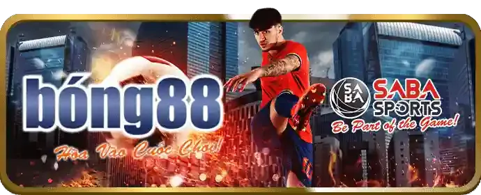 Đối tác liên kết Choang