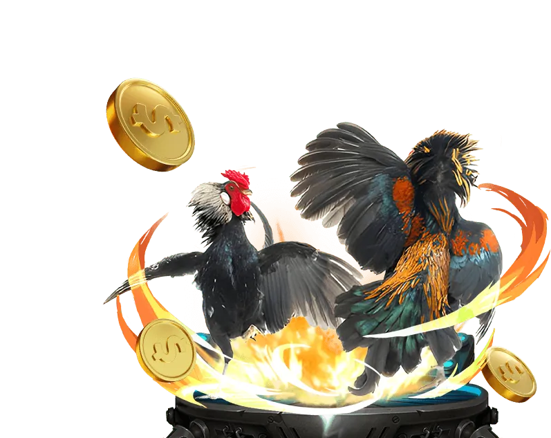 Ưu điểm nổi bật Choang